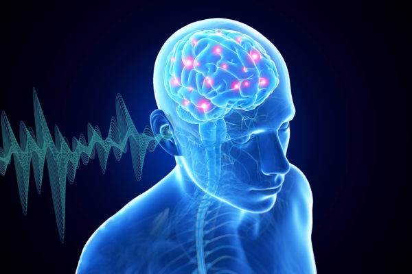 Hearing Loss and the Brain